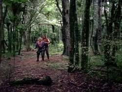 extant_HerculesAndTheAmazonWomen_2434