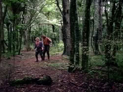 extant_HerculesAndTheAmazonWomen_2435