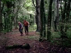 extant_HerculesAndTheAmazonWomen_2436