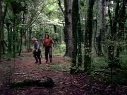 extant_HerculesAndTheAmazonWomen_2437