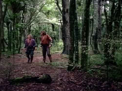 extant_HerculesAndTheAmazonWomen_2439