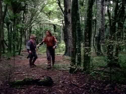 extant_HerculesAndTheAmazonWomen_2440