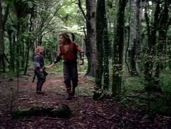 extant_HerculesAndTheAmazonWomen_2444