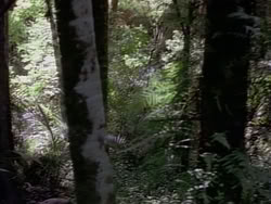 extant_HerculesAndTheAmazonWomen_2462