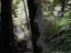 extant_HerculesAndTheAmazonWomen_2463