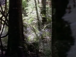 extant_HerculesAndTheAmazonWomen_2464