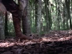 extant_HerculesAndTheAmazonWomen_2467