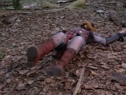 extant_HerculesAndTheAmazonWomen_2473