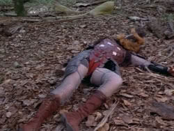 extant_HerculesAndTheAmazonWomen_2474