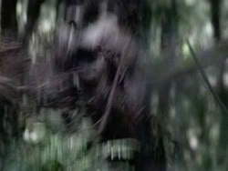 extant_HerculesAndTheAmazonWomen_2475