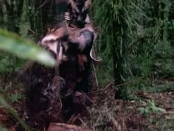 extant_HerculesAndTheAmazonWomen_2477