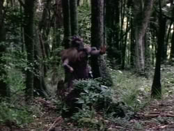 extant_HerculesAndTheAmazonWomen_2479