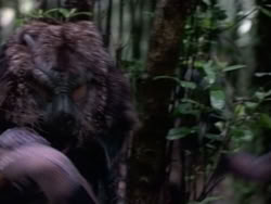 extant_HerculesAndTheAmazonWomen_2482