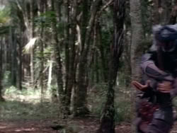 extant_HerculesAndTheAmazonWomen_2488