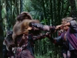 extant_HerculesAndTheAmazonWomen_2496