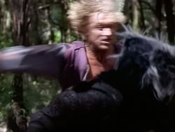 extant_HerculesAndTheAmazonWomen_2502