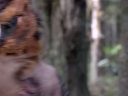 extant_HerculesAndTheAmazonWomen_2506