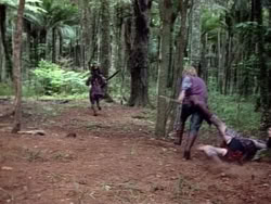 extant_HerculesAndTheAmazonWomen_2545