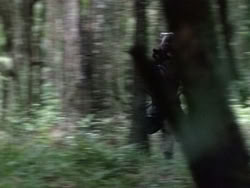 extant_HerculesAndTheAmazonWomen_2547