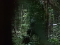 extant_HerculesAndTheAmazonWomen_2549
