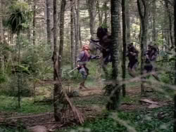 extant_HerculesAndTheAmazonWomen_2573