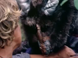 extant_HerculesAndTheAmazonWomen_2591