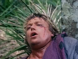 extant_HerculesAndTheAmazonWomen_2607