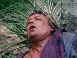 extant_HerculesAndTheAmazonWomen_2608