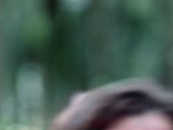 extant_HerculesAndTheAmazonWomen_2610
