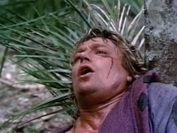 extant_HerculesAndTheAmazonWomen_2612