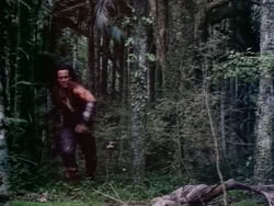 extant_HerculesAndTheAmazonWomen_2613