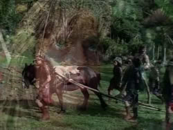 extant_HerculesAndTheAmazonWomen_2678