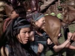 extant_HerculesAndTheAmazonWomen_2720