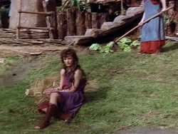 extant_HerculesAndTheAmazonWomen_2743