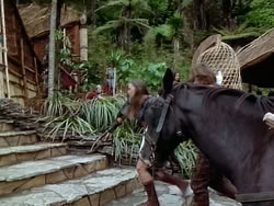 extant_HerculesAndTheAmazonWomen_2794