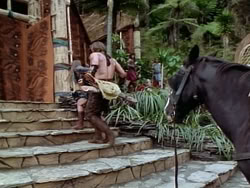 extant_HerculesAndTheAmazonWomen_2796