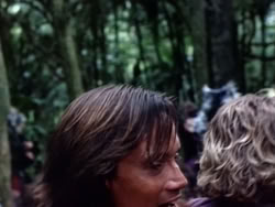 extant_HerculesAndTheAmazonWomen_3346