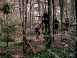 extant_HerculesAndTheAmazonWomen_3361