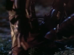 extant_HerculesAndTheAmazonWomen_4015