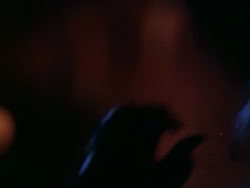 extant_HerculesAndTheAmazonWomen_4058