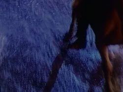 extant_HerculesAndTheAmazonWomen_4156