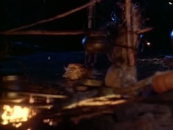 extant_HerculesAndTheAmazonWomen_4186
