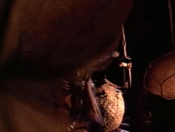 extant_HerculesAndTheAmazonWomen_4339