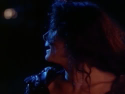 extant_HerculesAndTheAmazonWomen_4492
