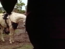 extant_HerculesAndTheAmazonWomen_4600