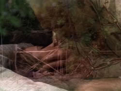 extant_HerculesAndTheAmazonWomen_4664