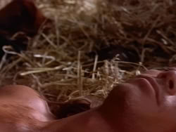 extant_HerculesAndTheAmazonWomen_4676