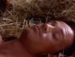 extant_HerculesAndTheAmazonWomen_4677