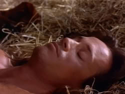 extant_HerculesAndTheAmazonWomen_4678