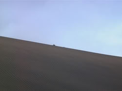 extant_HerculesAndTheAmazonWomen_5088